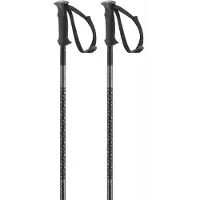 Salomon Bastoncini Polar