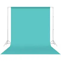 Savage Sfondo Da Studio N47-2.72x11 M