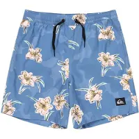 Quiksilver Kid's Everyday Straight Volley 14 Pantaloncini Bambini (16 Years, blu)