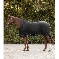 Waldhausen Arctic 200g Neck Rug 135 cm 135 cm