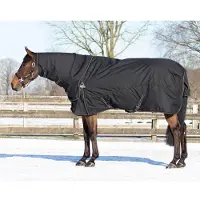 QHP Coperta Combi Set Sottocoperta per Turnout - Pezzo di collo - nero/torciglione, 165