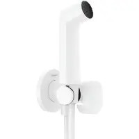 Hansgrohe Bidette Douchette à main 1jet S EcoSmart pour eau froide, avec support de douche et flexibles de douche 125cm, 29230700, 29230700