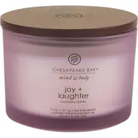 Chesapeake Bay Candle Joy & Laughter 312 g — Candela Profumata