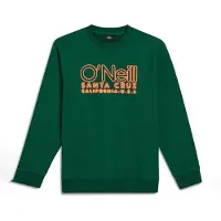 O'Neill Boys Essentials Crew Emerald Envy Taglia: 164 | Maglioni Outlet | Unisex | Verde