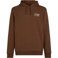 O'Neill Original Cali Logo Hoodie Hazel Spice Taglia: L | Felpe con cappuccio Outlet | Uomo