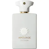 Amouage Decision Eau de Parfum 100 ml — Donna