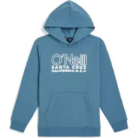 O'Neill Boys Essentials Hoodie Mozart Blue Taglia: 140 | Abbigliamento Sportivo Outlet | Unisex | Blu