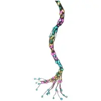 Lumineo Ghirlanda Luminosa 180 Cm