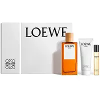 LOEWE Solo 100ml Uomo — Eau de Toilette