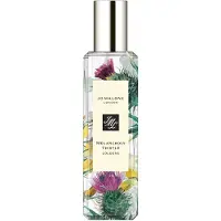Jo Malone Melancholy Thistle Donna 30 ml — Acqua di Colonia