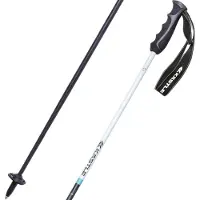 Kästle Bastoncini Piste Ca100