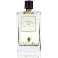 Simone Andreoli Leisure in Paradise 100 ml — Eau de Parfum