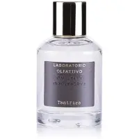 Laboratorio Olfattivo Tantrico Eau de Parfum 100 ml — Eau de Parfum