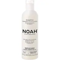 NOAH Shampoo Rigenerante Olio di Argan 250ml — Shampoo