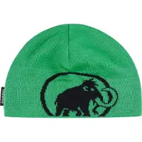 Mammut Tweak Beanie Berretto (One Size, verde)