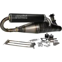 Polini Sistema Di Scarico Completo Non Omologato Big Evolution Piaggio Ngr 50 2005-2015
