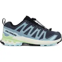 Salomon Women's XA Pro 3D V9 Scarpe sportive Donna (36 2/3, grigio)