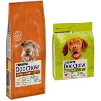 Purina Cibo Per Cani Senior Dog Chow Mature 14kg