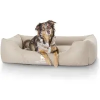 Knuffelwuff Cuddlewuff letto idrorepellente per cani Finlay XXL 120 x 85 cm beige