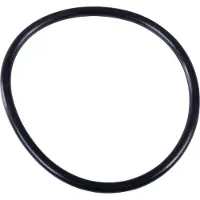 VETUS O-ring Filtro Acqua Ftr330