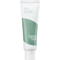 Isntree Crema calmante all'artemisia 50ml — Crema viso