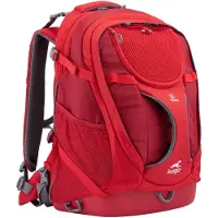 Kurgo Borsa G-train K9