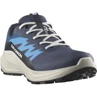 Salomon Alphaglide GORE-TEX Scarpe per trail running Uomo (42 2/3, blu)