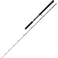 Penn Canna Jigging Batallion Solid Boat
