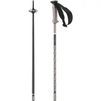 Salomon Bastoncini Polar Pro
