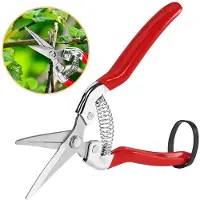 INF Forbici da potatura per giardinaggio L Modello 1