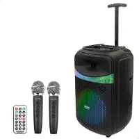 Bontempi Altoparlante Wireless Con Microfoni 39222 27x25x40 Cm