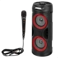 Bontempi Altoparlante Wireless Con Microfoni 39224