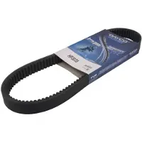 DAYCO Cinghia Di Trasmissione Hp3038