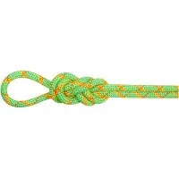 Mammut 8.0 Alpine Core Protect Dry Rope Mezza corda (50 m, verde)