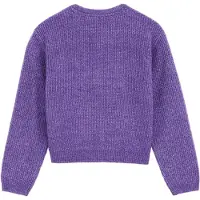 We fashion Knitted Cardigan Purple Taglia: 158/164 | Maglioni Outlet | Unisex | Viola