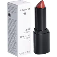 Dr. Hauschka 14 Caralluma 4,1 g — Rossetto