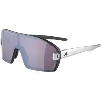 Alpina Bonfire Mag Q S1 + Silver S3 Occhiali da sole grigio