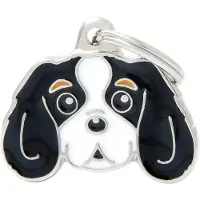 My Family Medaglietta Identificativa Per Animali Domestici Cavalier King