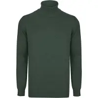 Felix Hardy Pullover verde scuro