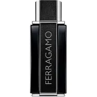 Ferragamo Sublime Leather 100 ml — Eau de Parfum Unisex