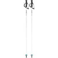 Head Bastoncini Worldcup Rebels Carbon
