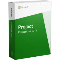 Microsoft Project 2013 Professional