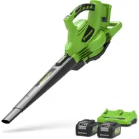 Greenworks aspiratore e soffiatore di foglie da 24V+24V - incl. 2 batterie da 4Ah e caricabatterie
