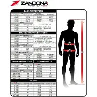 Zandona Cintura Renale Cross