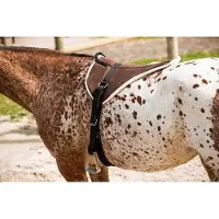 Norton Sottosella Bareback Soft per purosangue e cavalli a sangue caldo 101051004