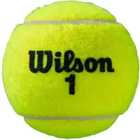 Wilson Palline Da Tennis Roland Garros All Court Bipack