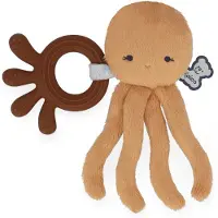 Kaloo Morso Di Polpo