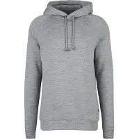 Stoic MerinoFlatFleece240 SolbergSt. Hoody Felpa di merino con cappuccio Uomo (XXL, grigio)
