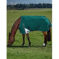 WeatherBeeta Coperta da paddock , taglia 140 - Comfitec Plus Dynamic, 220g - Verde foresta/Blu navy