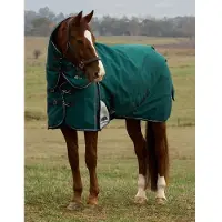 WeatherBeeta Coperta da paddock , taglia 135 - Comfitec Plus Dynamic Turnout, modello con chiusura al collo removibile, imbottitura 220g - Verde foresta/Blu navy